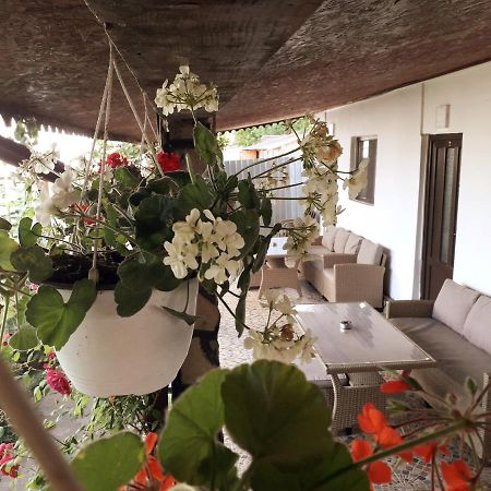 Gasthaus Casa Chitu Murighiol Exterior foto