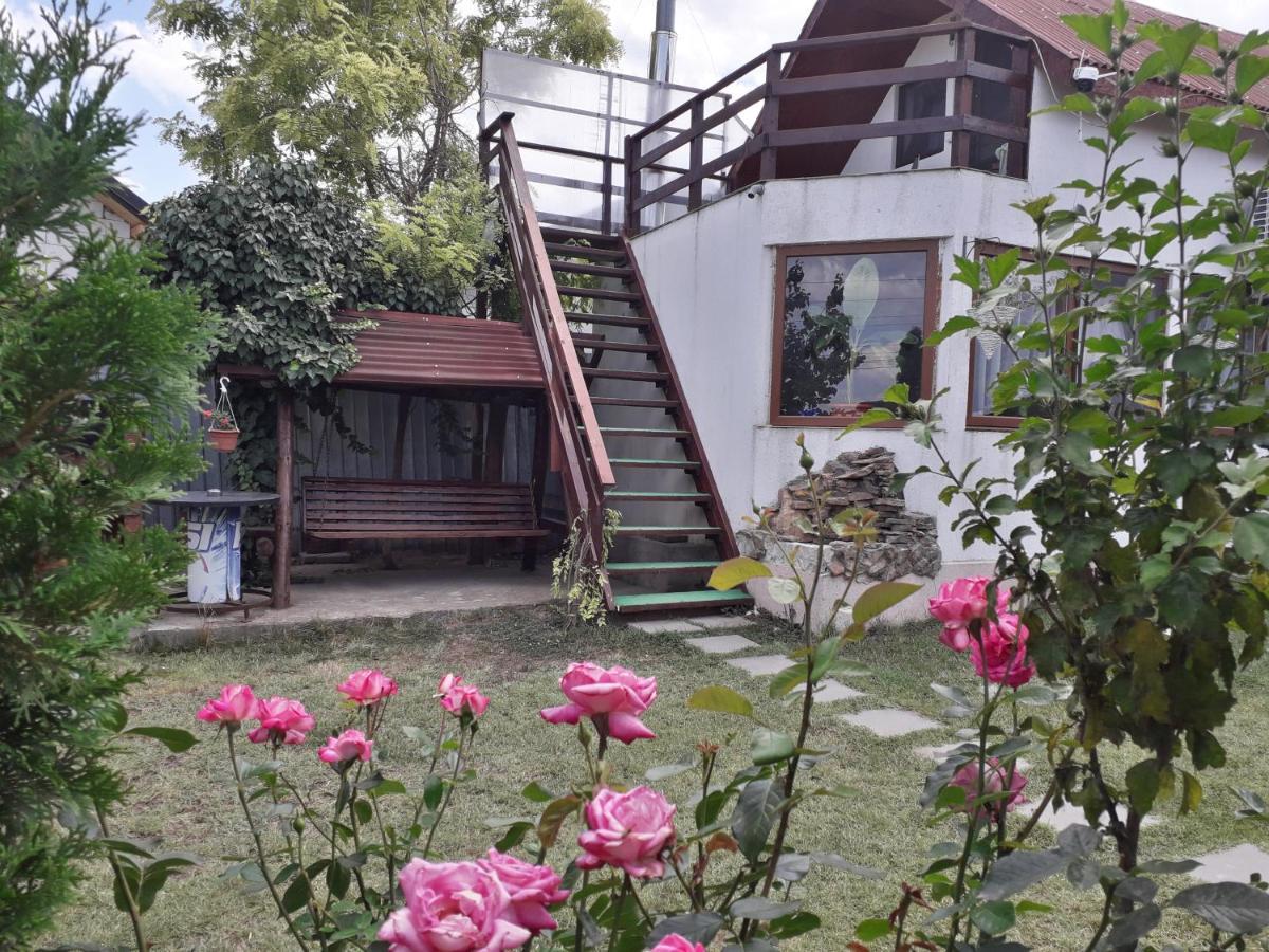 Gasthaus Casa Chitu Murighiol Exterior foto