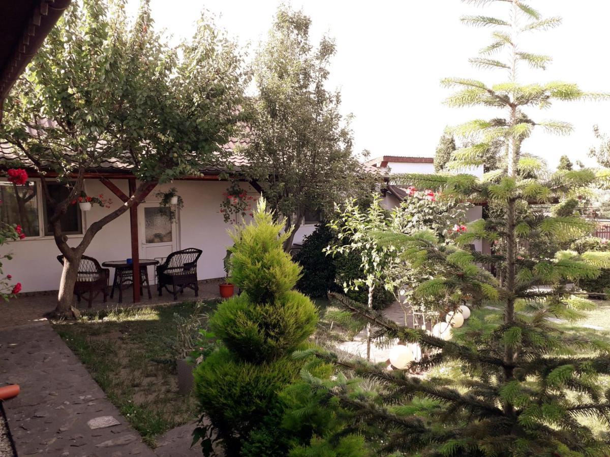 Gasthaus Casa Chitu Murighiol Exterior foto