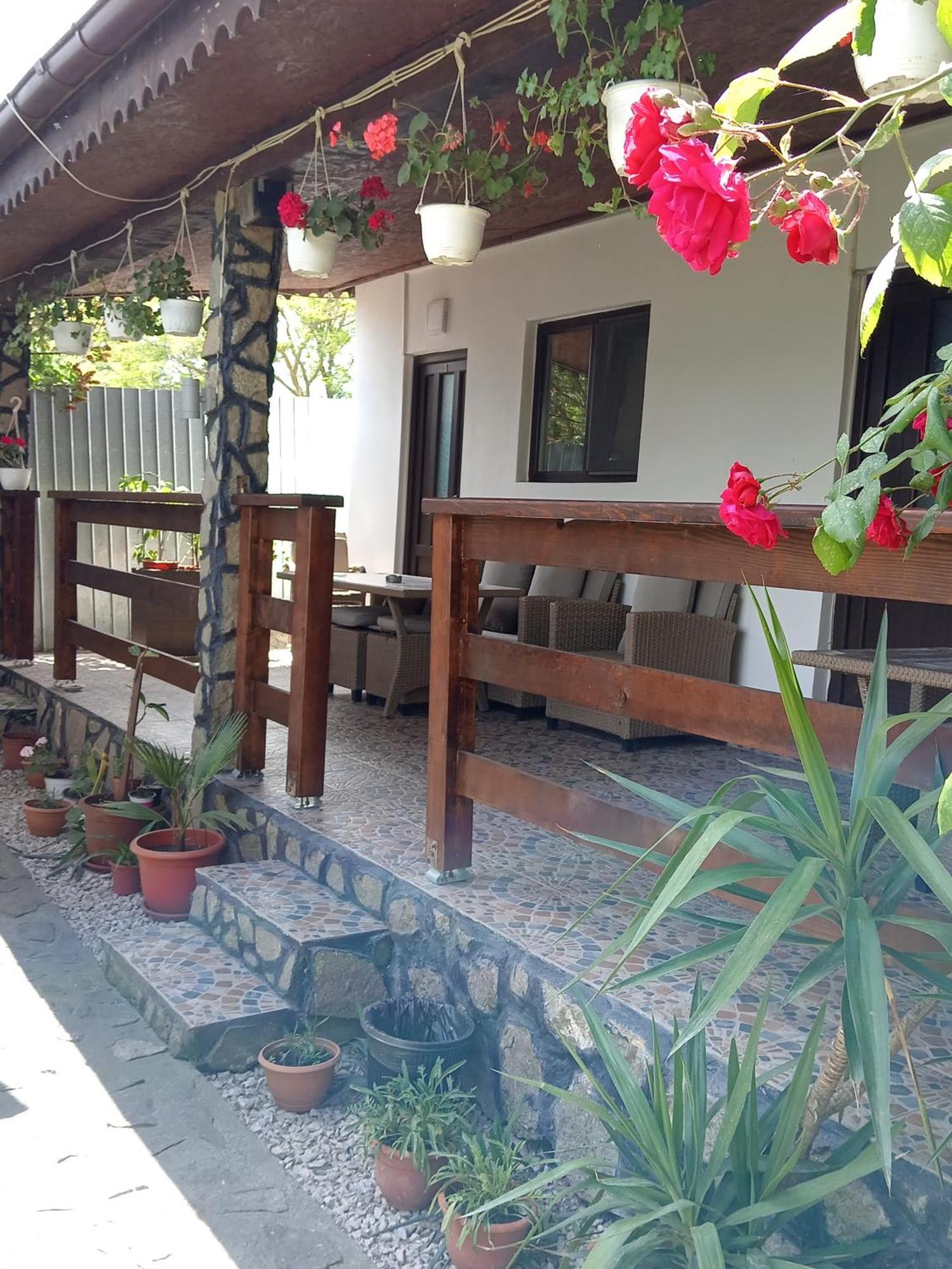 Gasthaus Casa Chitu Murighiol Exterior foto