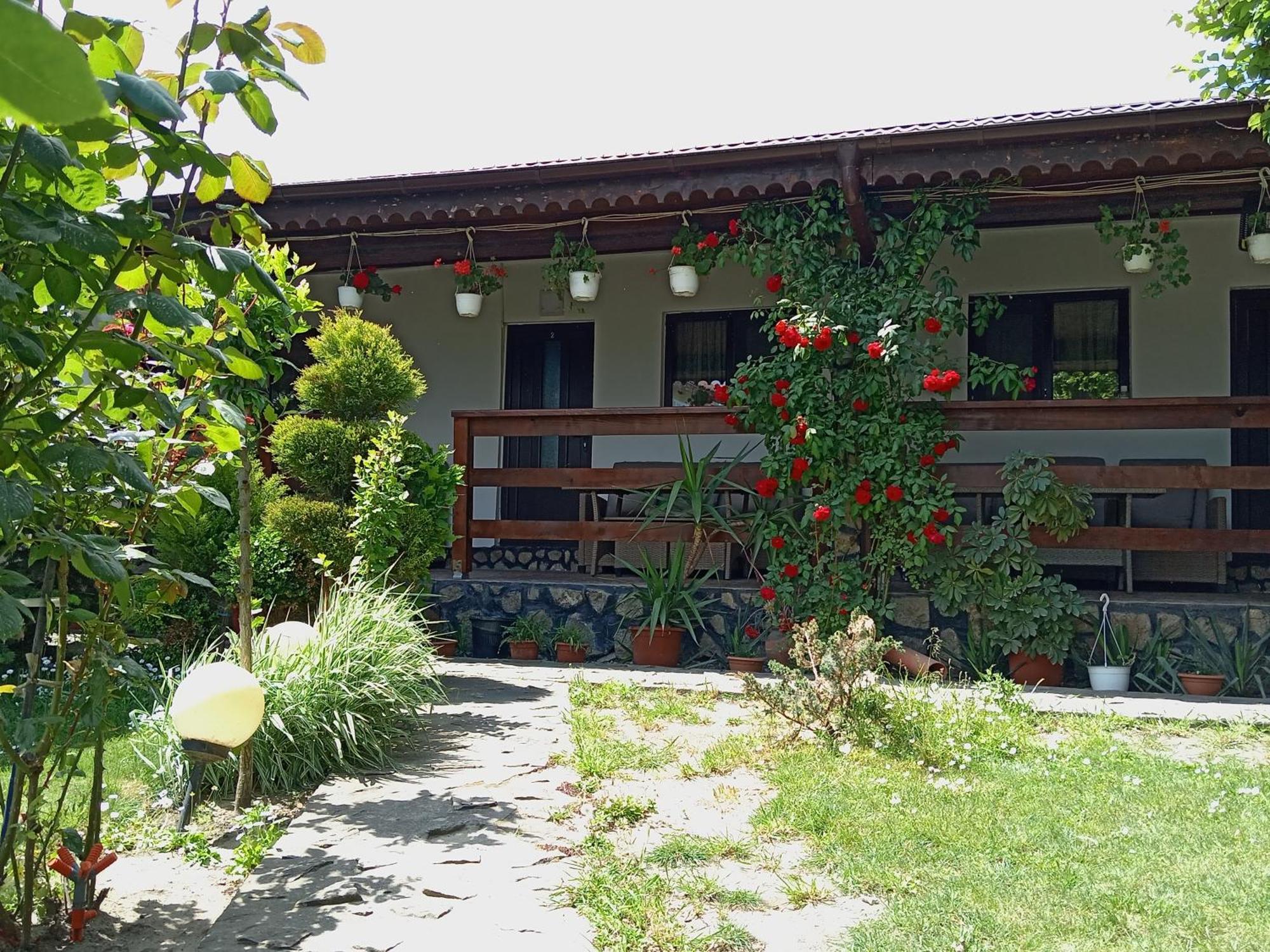 Gasthaus Casa Chitu Murighiol Exterior foto