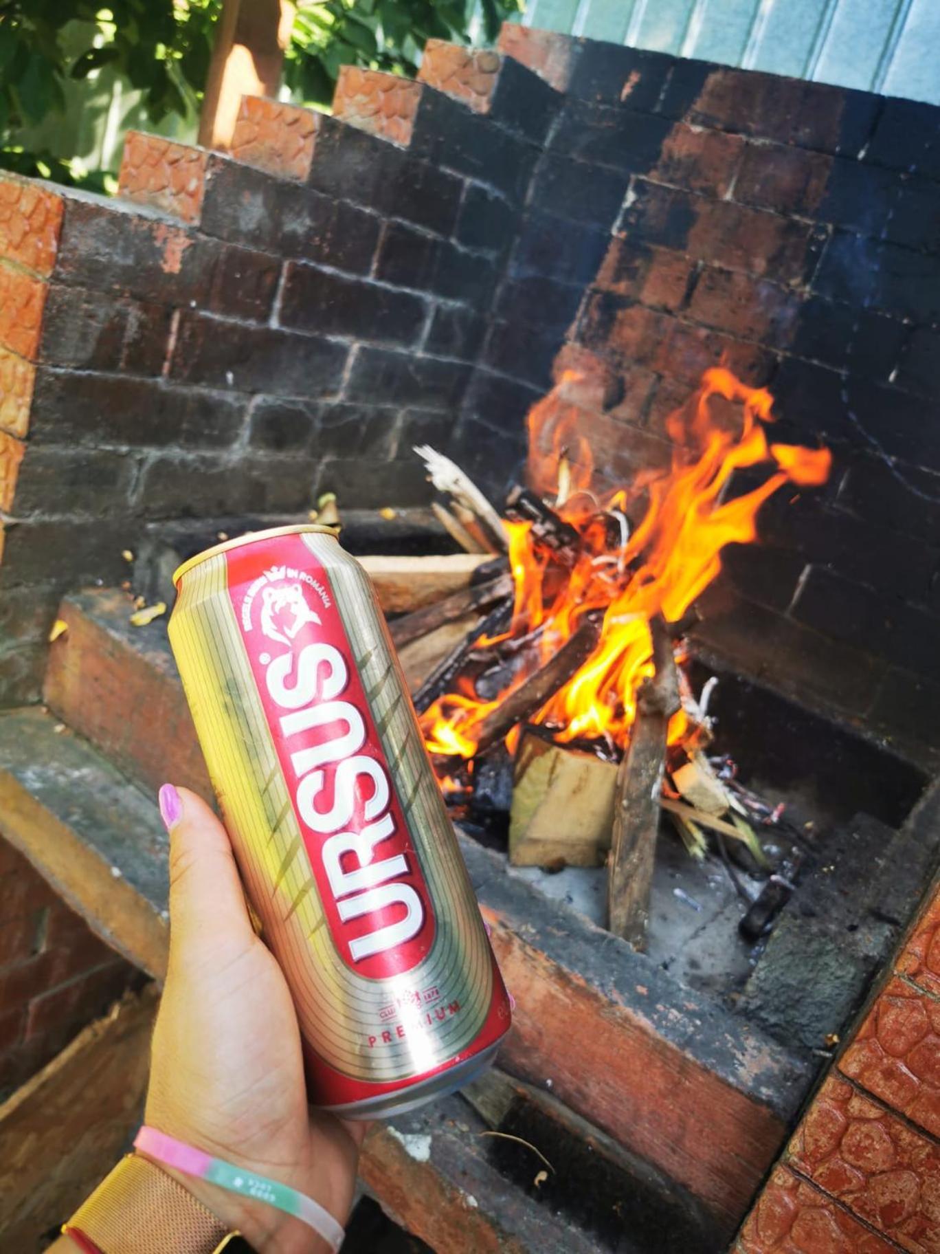 Gasthaus Casa Chitu Murighiol Exterior foto